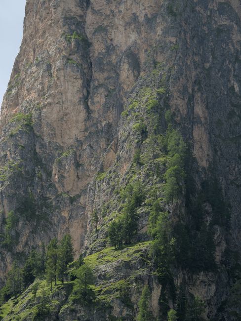 Dramatic cliffs with green flora in Selva di Val Gardena, Trentino-Alto Adige, Italy.