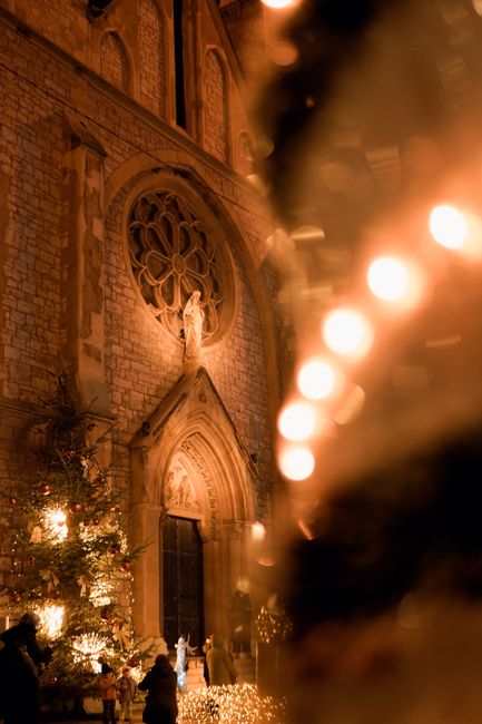 Beautifully decorated cathedral facade with Christmas lights and tree, creating a warm holiday atmosphere.