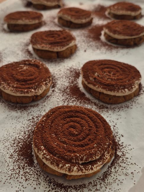 Close-up of homemade tiramisu cookies dusted with cocoa powder arranged on a white background.