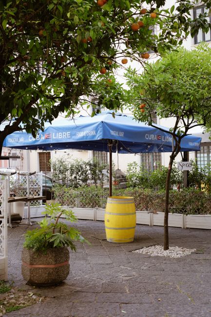 Inviting outdoor terrace with blue umbrella and orange trees, perfect for a relaxing day.