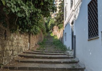 A serene stone stairway flanked by lush greenery and a weathered stone wall in an urban outdoor setting.