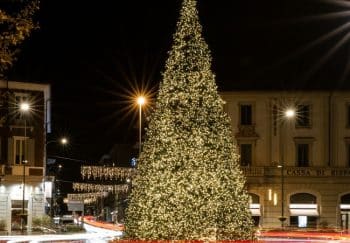 Festive city scene with a brightly lit Christmas tree in a roundabout, showcasing holiday spirit.
