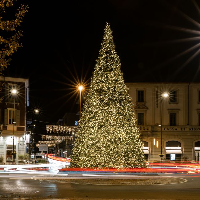Festive city scene with a brightly lit Christmas tree in a roundabout, showcasing holiday spirit.