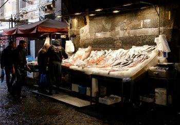 Street fish market scene in Catania, Sicily, showcasing fresh seafood under warm lights.