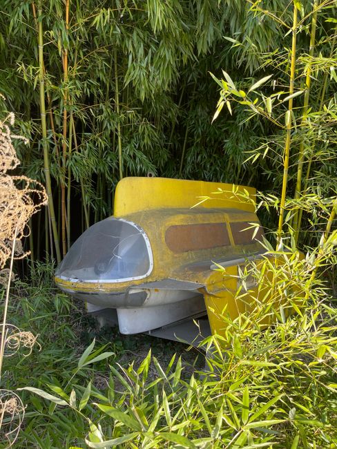 A mysterious yellow submarine nestled in a dense bamboo forest, creating an intriguing scene.