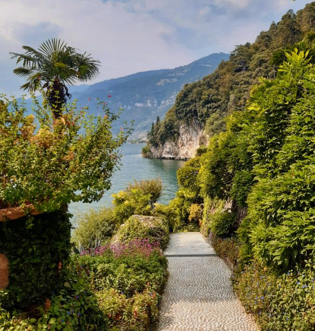 Explore the lush pathway leading to the picturesque shores of Lake Como, Italy.