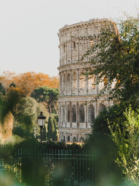 The Colosseum in Rome surrounded by lush trees and greenery, capturing historical architecture.