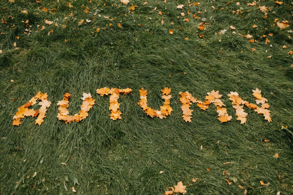 Yellow autumn leaves spelling 'AUTUMN' on a lush green lawn