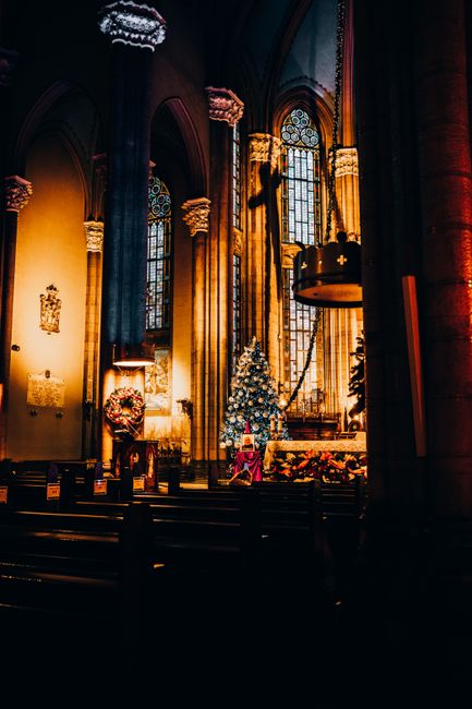 Warmly lit church interior featuring a decorated Christmas tree and festive ambiance.
