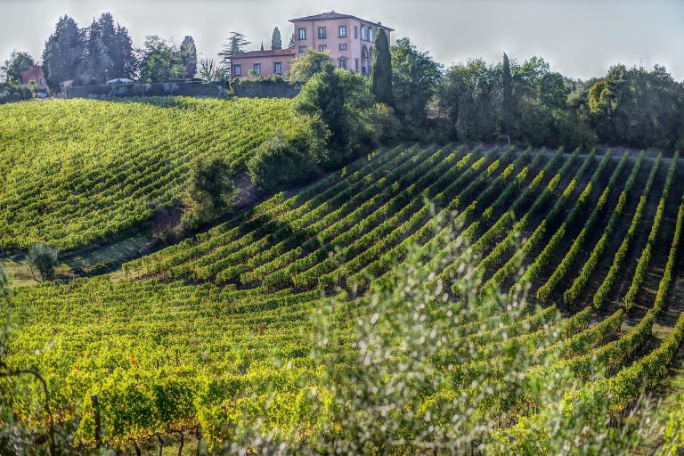 A Beginner's Guide To Wine Tasting In Italy Italy Travel Guide