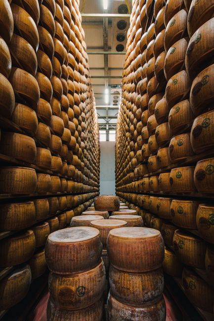 Rows of Parmesan cheese wheels aging in an Emilia-Romagna warehouse.