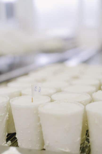 Close-up of fresh white cheese in a dairy production plant, showcasing the clean and organized setting.