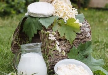 Arrangement of cheeses and milk on grass for an organic feel.