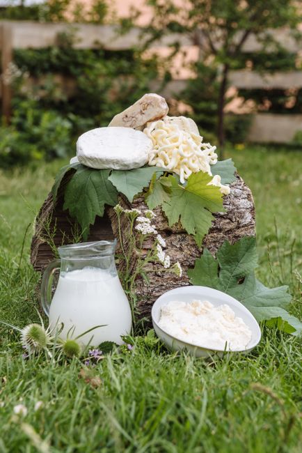 Arrangement of cheeses and milk on grass for an organic feel.