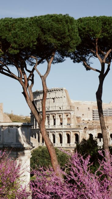 Vibrant spring view of the Colosseum in Rome framed by lush trees and flowers.