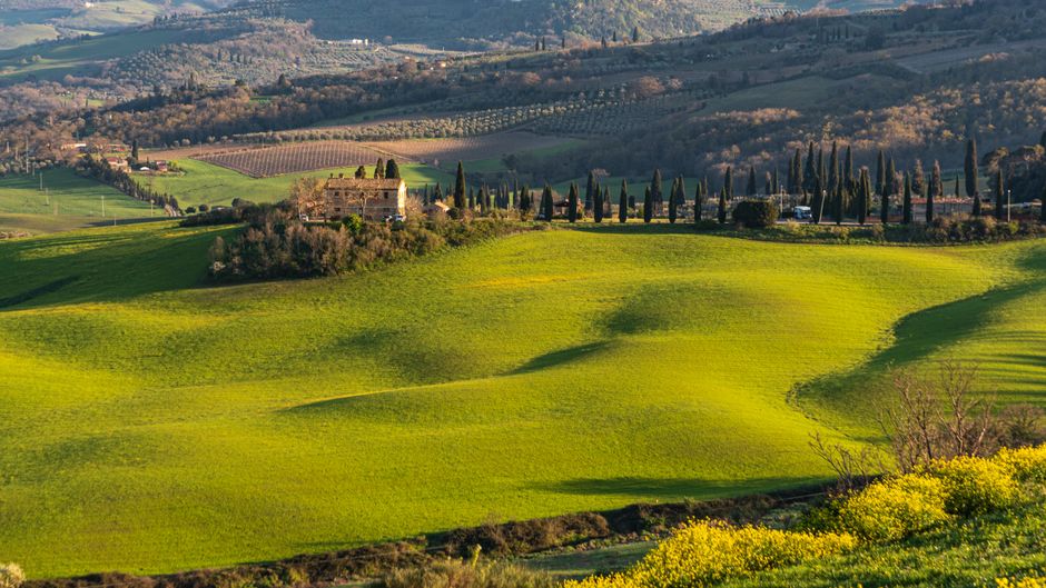 Capture the serene landscape of Tuscany's rolling hills in spring, featuring lush greenery.