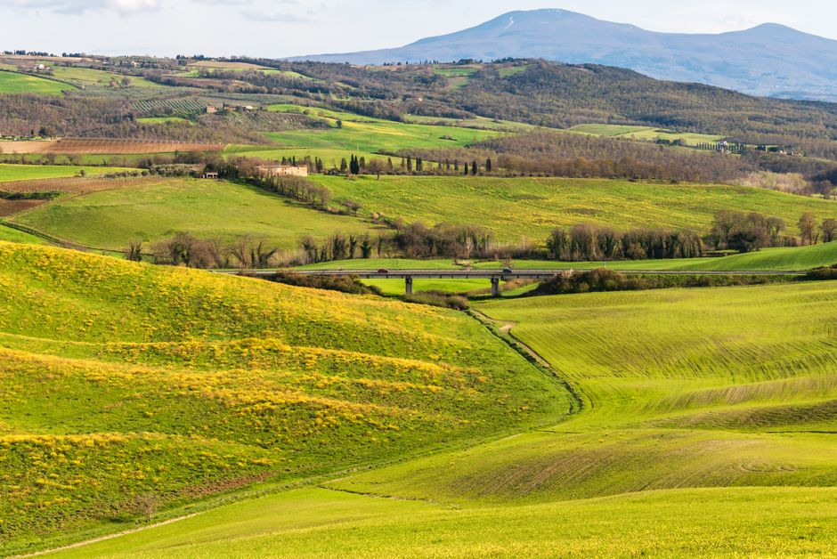 A picturesque view of the green rolling hills in Tuscany, showcasing Italy's natural beauty.