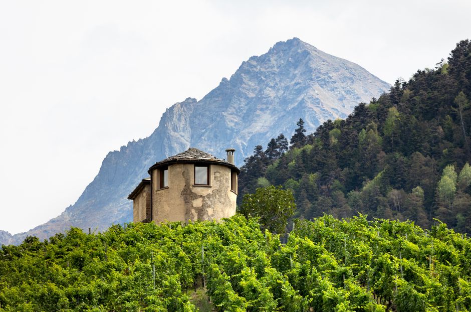 Scenic view of a vineyard with a rustic house set against the Italian Alps.