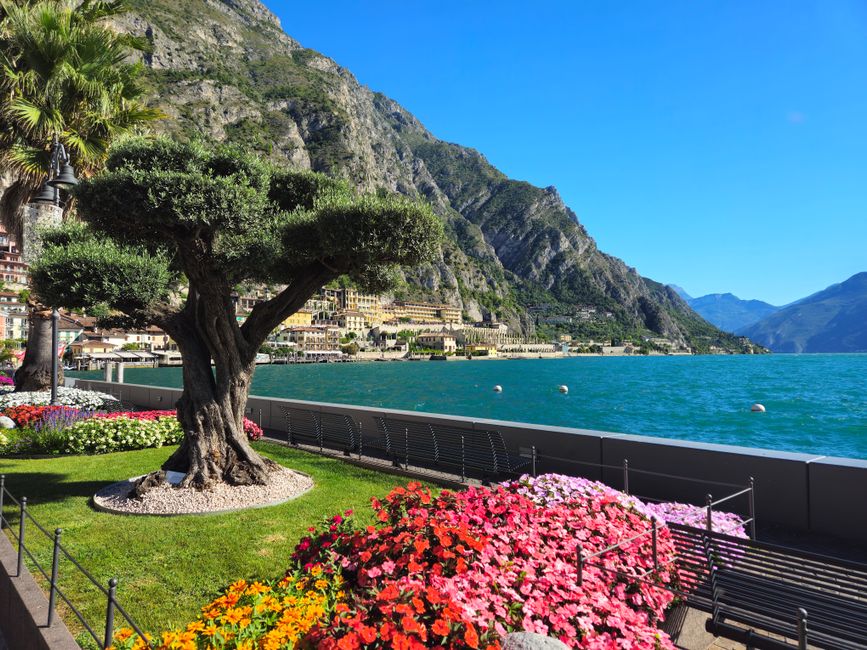 Picturesque promenade with vibrant flowers along Lake Garda in Limone sul Garda, Italy.