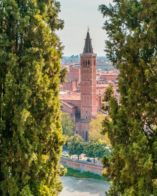 Scenic view of a historic tower in Verona, Italy framed by lush greenery.